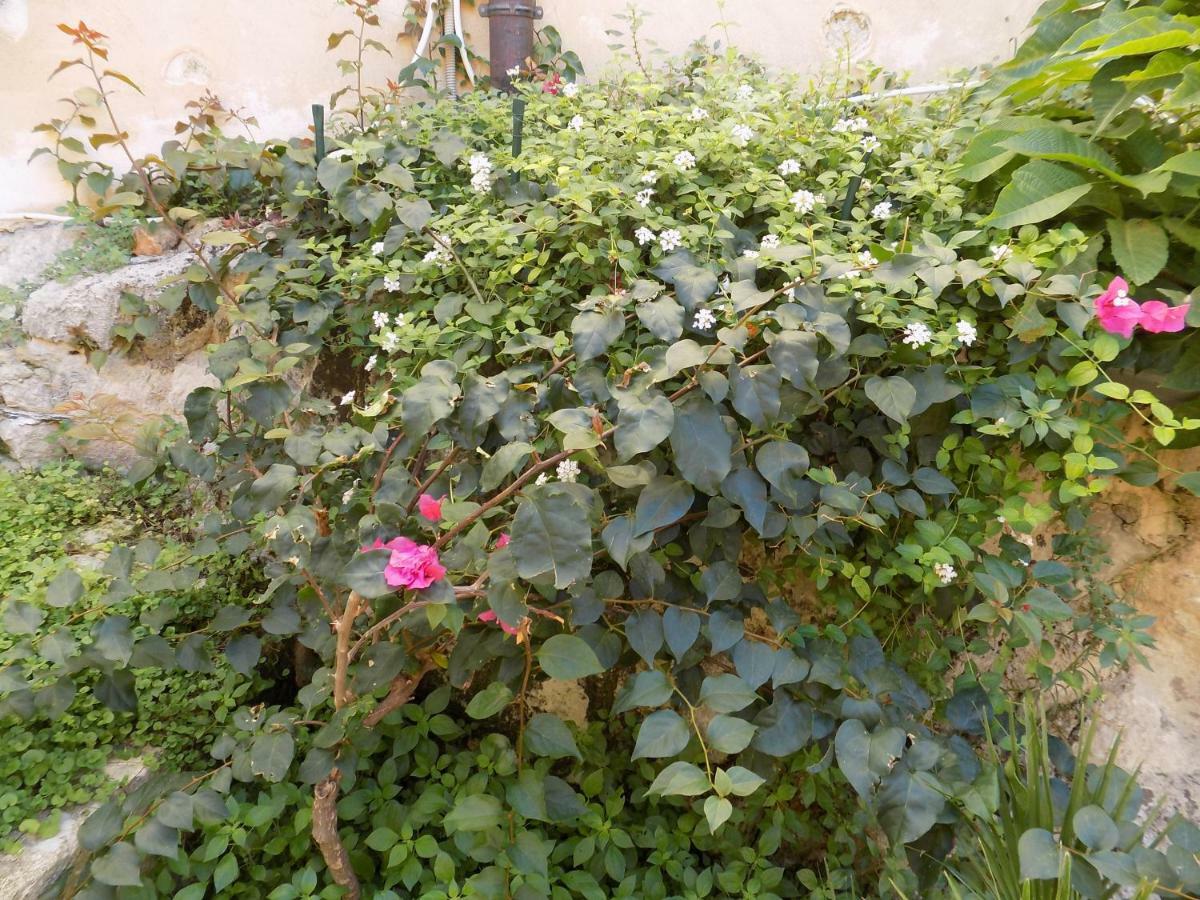 Garden&House Amore Vero Modica Zewnętrze zdjęcie
